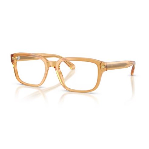 EMPORIO ARMANI 3255