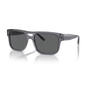EMPORIO ARMANI 4197